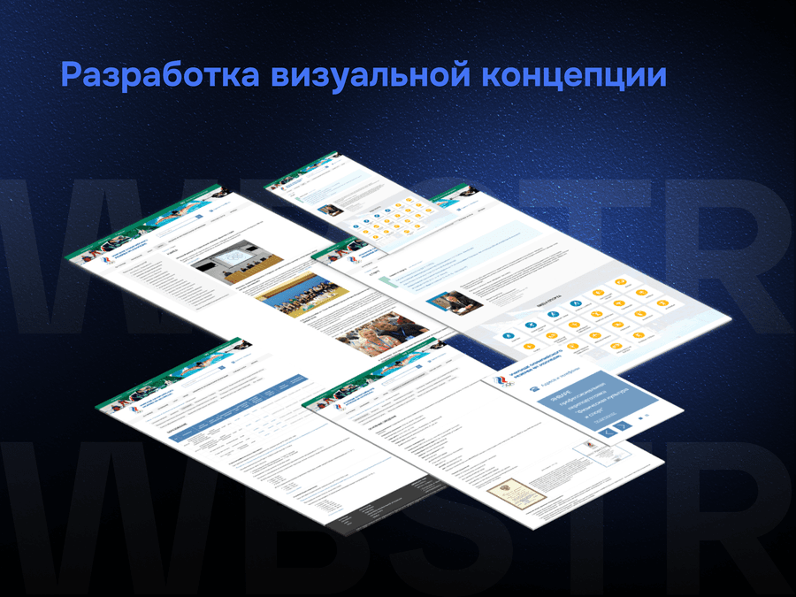 Разработка визуальной концепции для проекта «Училище олимпийского резерва»
